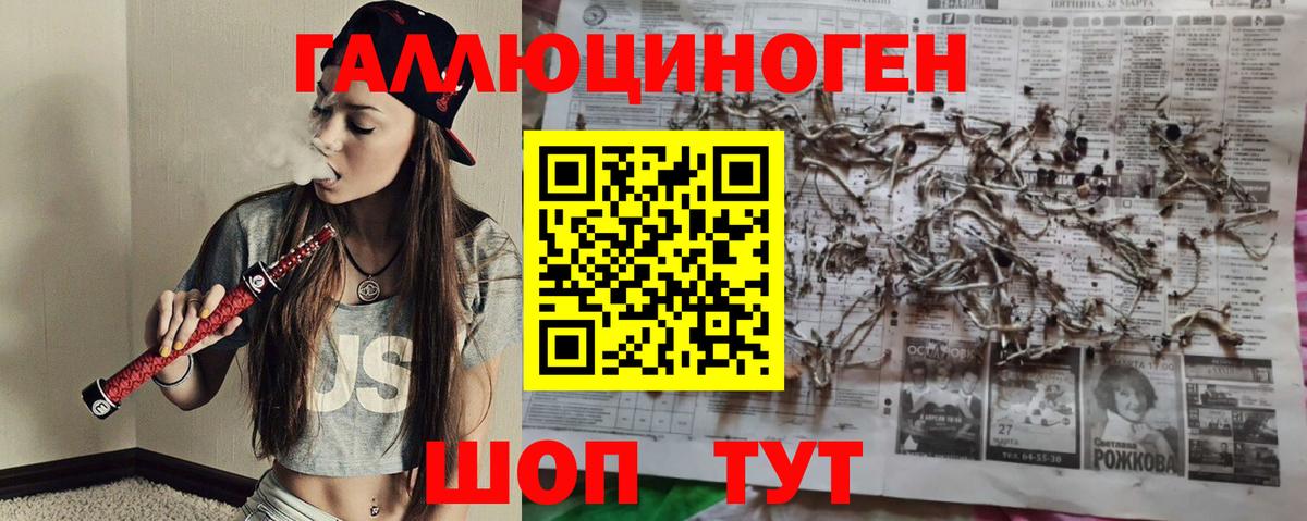 Псилоцибиновые грибы GOLDEN TEACHER  Псилоцибиновые грибы Cubensis  Вход с VPN  Сегежа 
