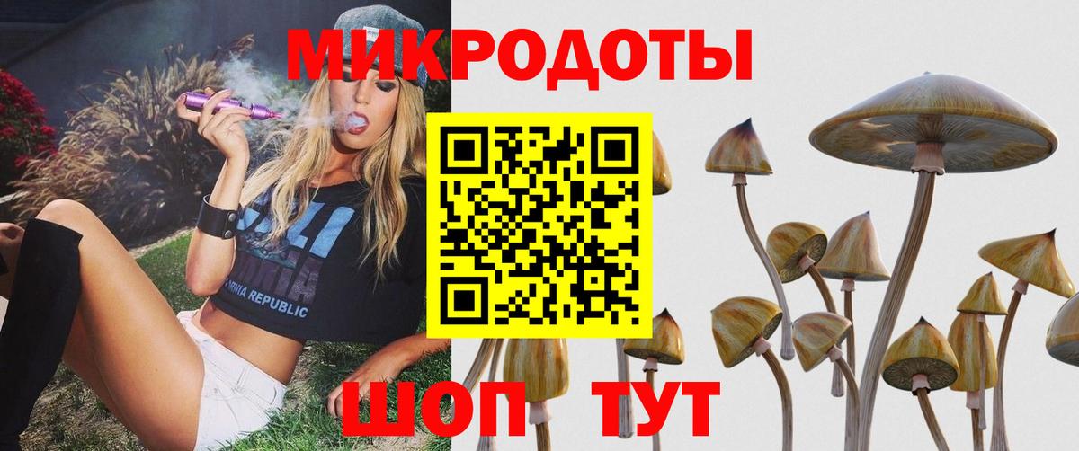 Псилоцибиновые грибы GOLDEN TEACHER Сегежа